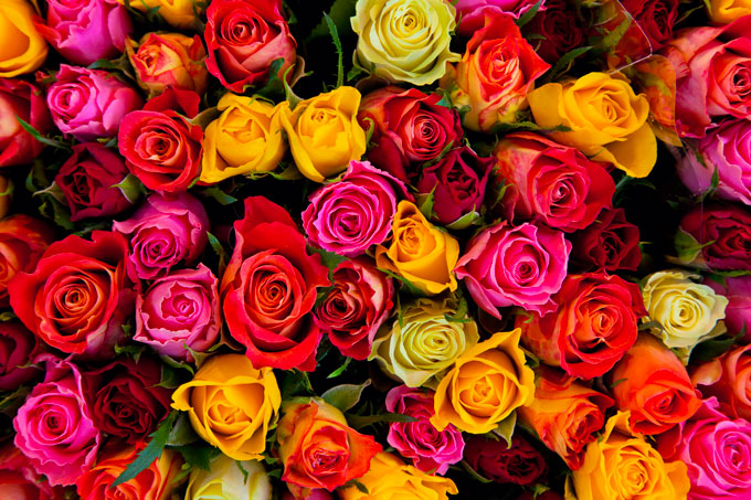 Bouquet of flowers for Valentine’s Day